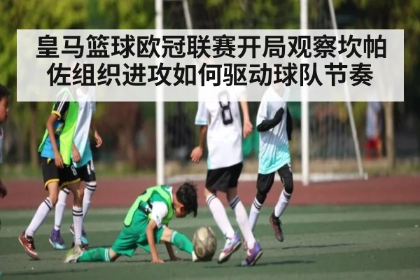 皇马篮球欧冠联赛开局观察坎帕佐组织进攻如何驱动球队节奏